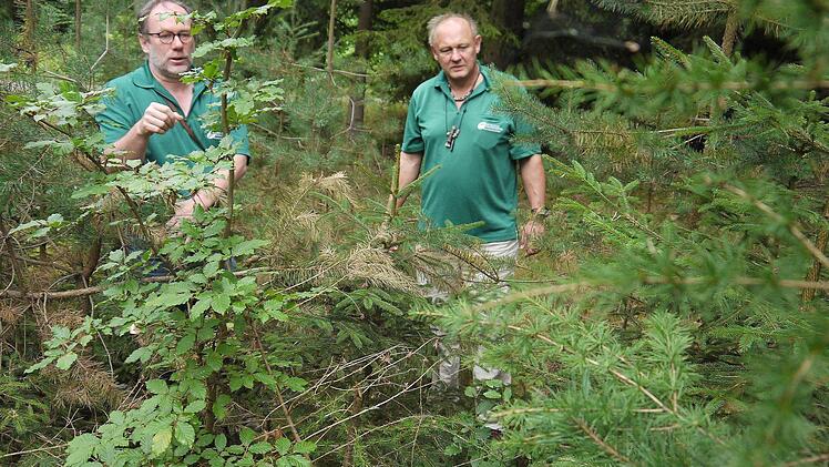 Foto: Berthold Köhler