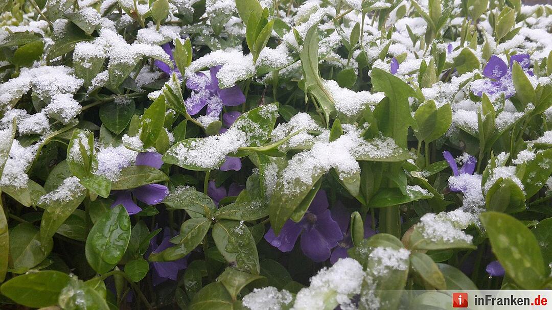 Winter im April 2016 in Franken