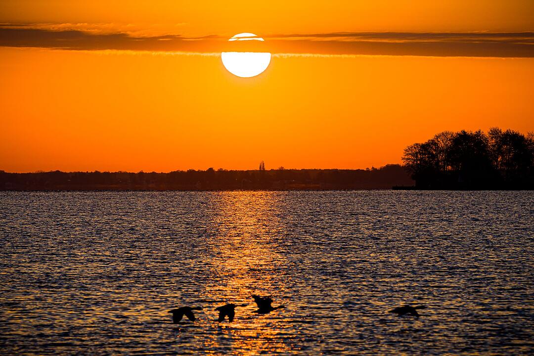 Sonnenaufgang am Steinhuder Meer