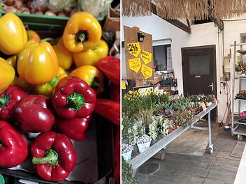 Dietersdorf: "Sunny Fruits"-Händler spricht Klartext - "weshalb Gemüse gerade so teuer ist"