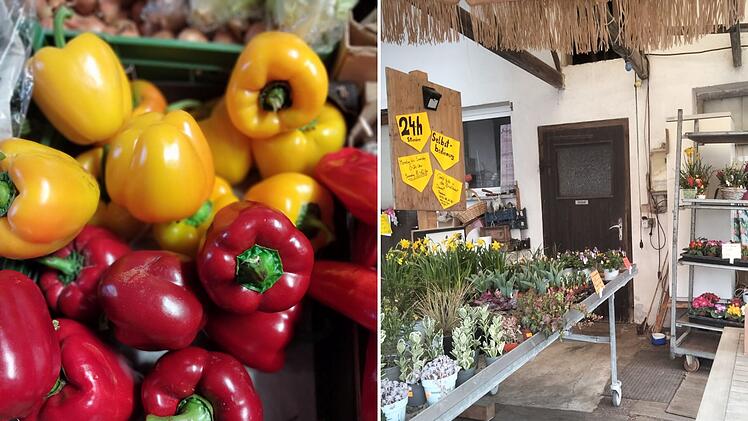 Dietersdorf: "Sunny Fruits"-Händler spricht Klartext - "weshalb Gemüse gerade so teuer ist"