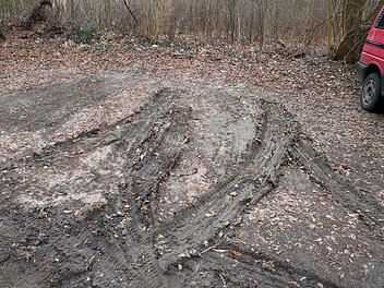 Leiche in einem Rostocker Waldst&uuml;ck entdeckt