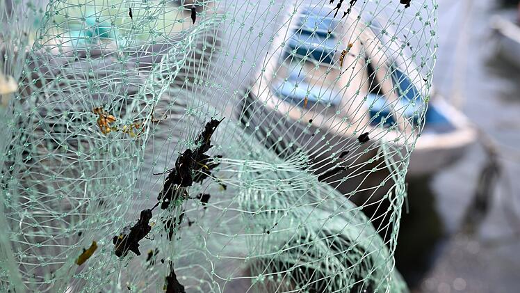 &Ouml;lpest in Mexiko