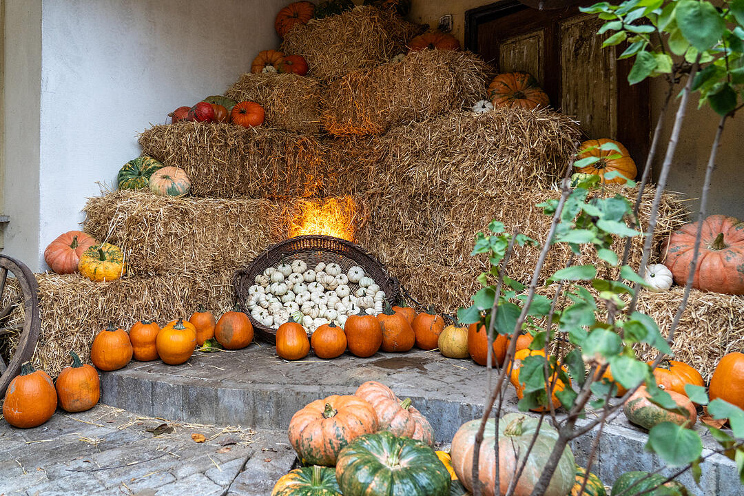 Die K&uuml;rbissaison hat ihren H&ouml;hepunkt mit dem K&uuml;rbismarkt in Altendorf.