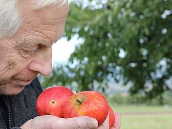 Die Rote Renette ist ein alter Kulturapfel: Auf einer Streuobstwiese in Gaiganz hat Wolfgang Subal die Sorte gefunden. Foto: Barbara Herbst