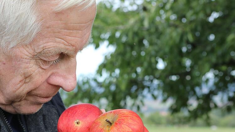 Die Rote Renette ist ein alter Kulturapfel: Auf einer Streuobstwiese in Gaiganz hat Wolfgang Subal die Sorte gefunden. Foto: Barbara Herbst