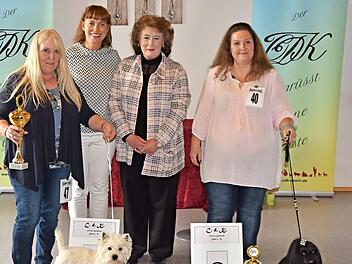 Der West-Highland-White-Terrier-Rüde "Challenger von den Steigerwaldhöh'n" wurde zum besten Hund der Show erkoren. Damit ging der erste Preis der Golden Globe Show in Ebern nach Gochsheim.