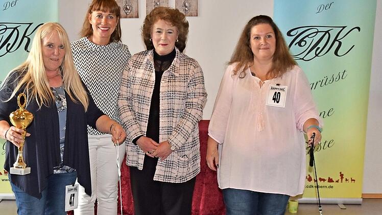 Der West-Highland-White-Terrier-Rüde "Challenger von den Steigerwaldhöh'n" wurde zum besten Hund der Show erkoren. Damit ging der erste Preis der Golden Globe Show in Ebern nach Gochsheim.