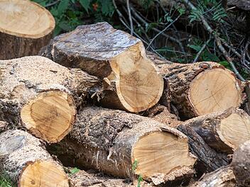 Brennholz aus dem Wald