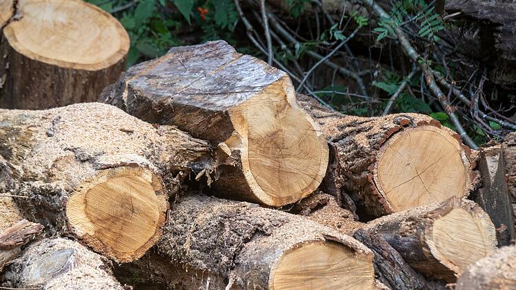 Brennholz aus dem Wald