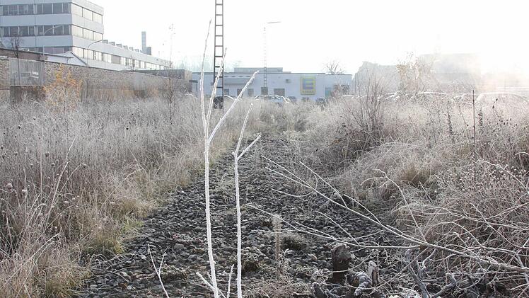 Diese Brache auf dem einstigen Bahngelände scheint für einen Rossmann-Markt geeignet.