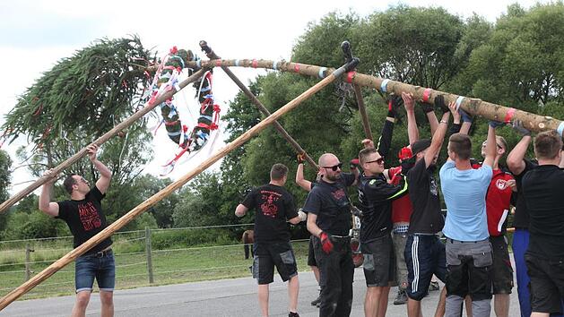 Nur mit vereinten Kräften kann der buntgeschmückte Baum stehen.