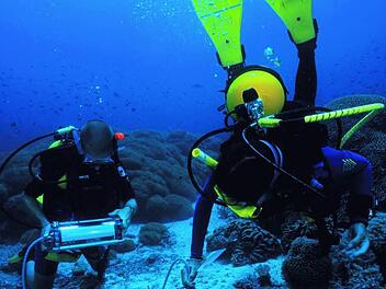 Sogar für den Einsatz unter Wasser sind die Chlorophylll Fluoreszenz-Messgeräte der Firma Walz geeignet.  Foto: Werksaufnahme