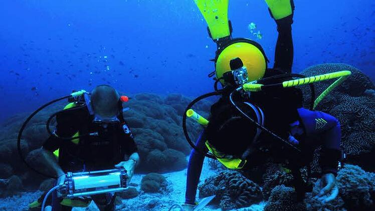 Sogar für den Einsatz unter Wasser sind die Chlorophylll Fluoreszenz-Messgeräte der Firma Walz geeignet.  Foto: Werksaufnahme