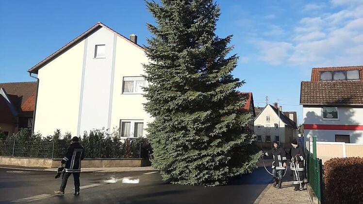 Der Baum schwebt Richtung Dorfplatz. Foto: Marco Hornung