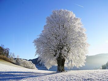 Der Winter klopft in Franken an