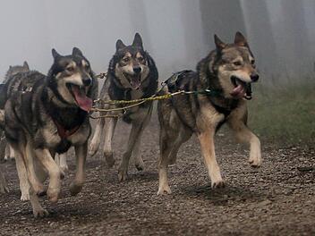 Foto: Sataporn von Erichsen/dpa
