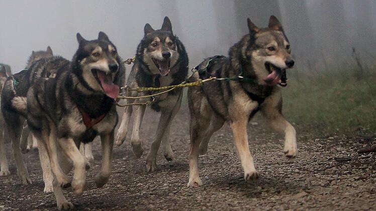 Foto: Sataporn von Erichsen/dpa