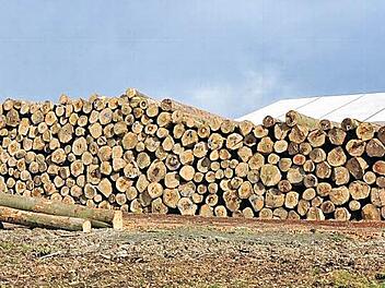 Die Firma Sägewerk Reitz kann heuer für eine gewisse Zeit eine weitere Fläche als Nasslagerplatz für Rundholz nutzen (im Vordergrund). Diese Fläche soll später wieder aufgegeben werden und das Holz an der Stelle gelagert werden, wo heute das Zelt (hinten) steht.  Foto: Ulrike Langer