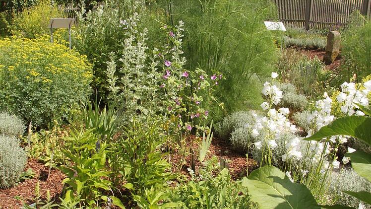 Bilder aus teilnehmenden Gärten Foto: Jürgen Gärtner