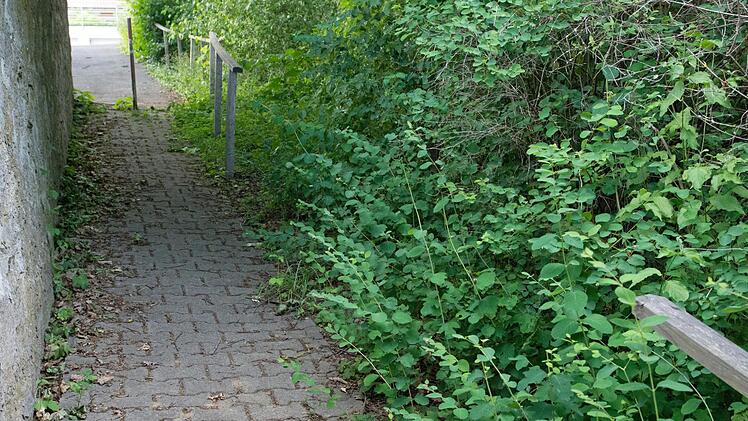 Das Treppengeländer am Friedhof in Ottendorf ist zum wiederholten Mal beschädigt worden. Bürgermeister Peter Kraus wird nun ein Angebot für ein "vernünftiges" Geländer einholen.