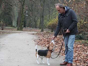 Wolfgang S. hat seine Beagle-Hündin Aika mit zur Therapie nach Bad Kissingen gebracht. Foto: Thomas Mäuser