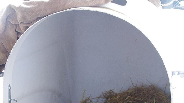 Auch für die Kälber wird gut gesorgt. Foto: Marco Meißner