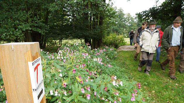 Ein rotes "T" markiert den Verlauf des Rundwanderwegs Thulbataler.Foto: Archiv/Arkadius Guzy