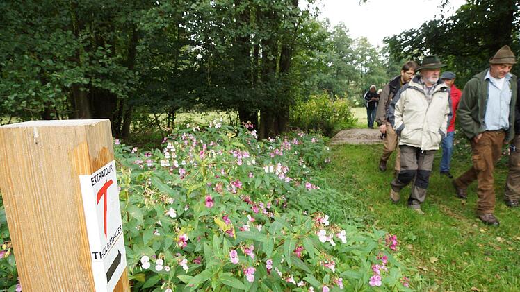 Ein rotes "T" markiert den Verlauf des Rundwanderwegs Thulbataler.Foto: Archiv/Arkadius Guzy