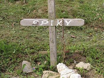 Auf dem Tierfriedhof bei Wermerichshausen lassen viele Tierbesitzer ihre Vierbeiner bestatten. Manche Gräber sehen nicht anders aus wie die Grabstätten von Menschen. Foto: Heike Beudert