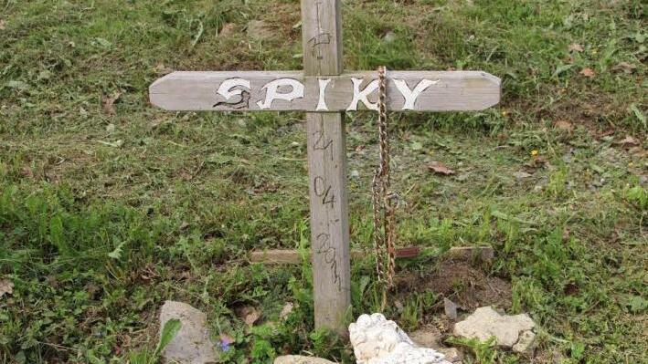 Auf dem Tierfriedhof bei Wermerichshausen lassen viele Tierbesitzer ihre Vierbeiner bestatten. Manche Gräber sehen nicht anders aus wie die Grabstätten von Menschen. Foto: Heike Beudert