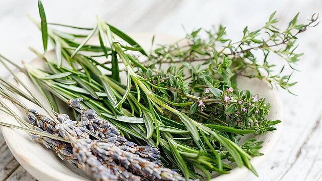 Frische Kr&auml;uter wie Basilikum, Dill und Petersilie verlieren beim Kochen ihr Aroma &ndash; sie sollten erst kurz vor dem Servieren hinzugegeben werden.