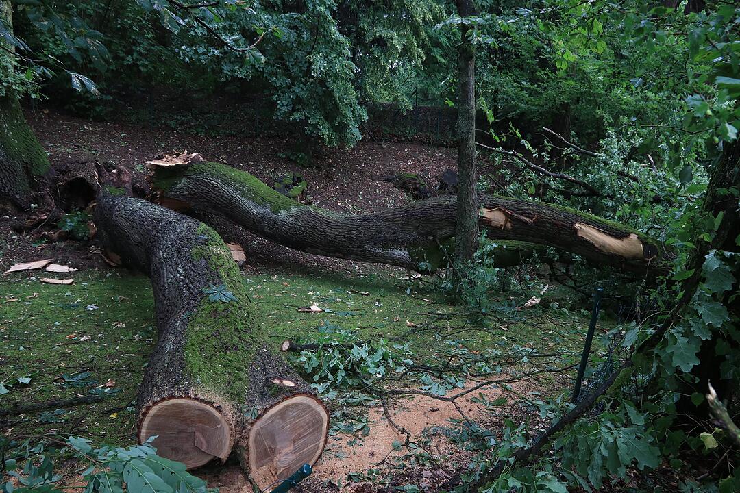 Bamberg: Unwetter hinterlassen massive Schäden