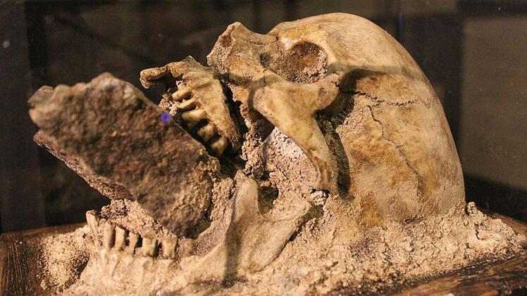 "Hexen, Werwölfe und Untote" in Kulmbach Foto: Jürgen Gärtner