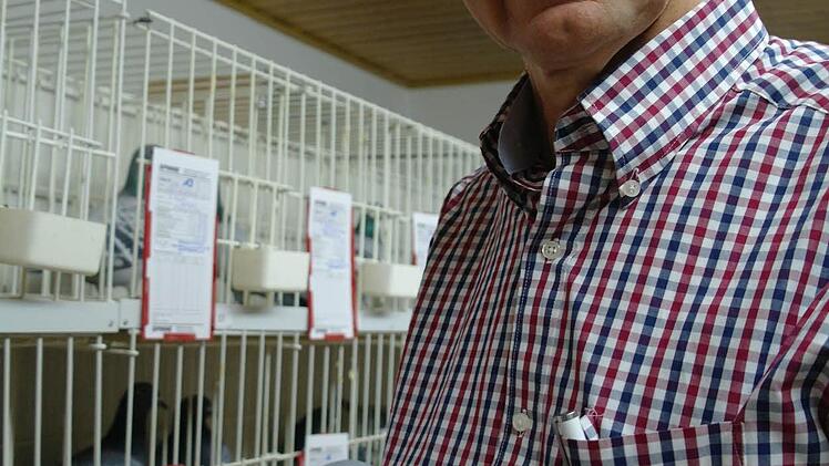 Fritz Bremkes, 2. Vorsitzender des Taubenvereins Heimatliebe, hält seinen Stolz in Händen. Dieses Tier ist sogar Standardvogel geworden, der Gesamteindruck überzeugte. Foto: Stephanie Elm