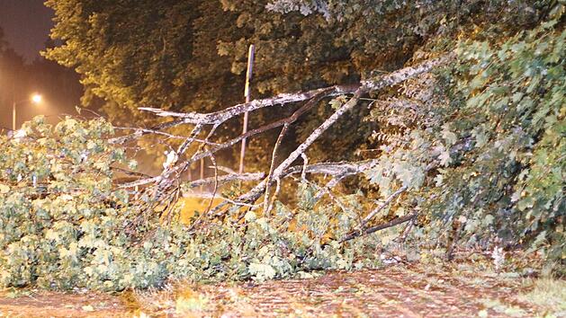 Herabgestürzte Äste, entwurzelte Bäume, vollgelaufene Keller und mehr: Das Unwetter am Sonntagabend hat große Schäden in Franken hinterlassen. Foto: Friedrich/News 5
