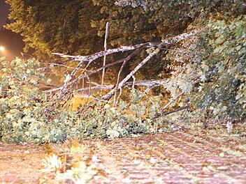 Herabgestürzte Äste, entwurzelte Bäume, vollgelaufene Keller und mehr: Das Unwetter am Sonntagabend hat große Schäden in Franken hinterlassen. Foto: Friedrich/News 5