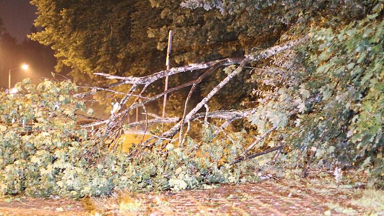 Herabgestürzte Äste, entwurzelte Bäume, vollgelaufene Keller und mehr: Das Unwetter am Sonntagabend hat große Schäden in Franken hinterlassen. Foto: Friedrich/News 5