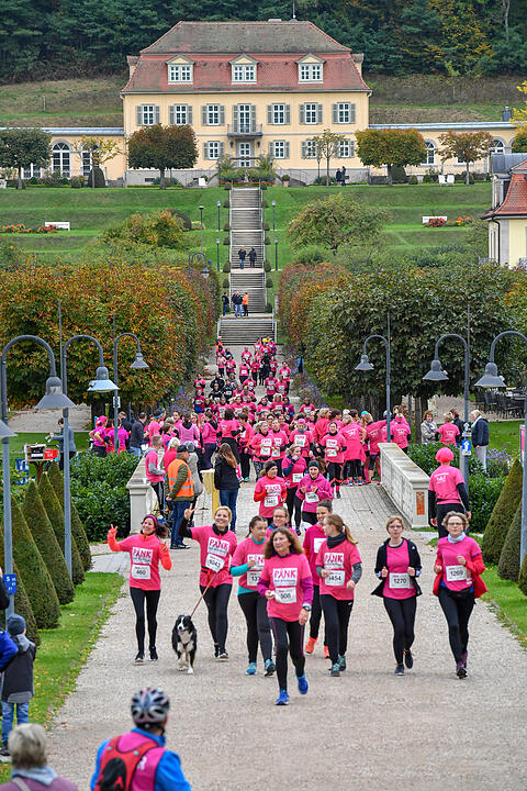 Pinklauf in Bad Brückenau: Rekord erneut geknackt