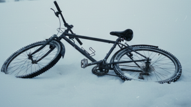 Schneemassen in Bamberg: Radfahrer nach Ast-Unfall gestorben
