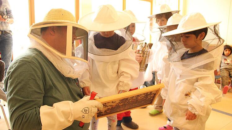 Bienenprojekt im Kindergarten Münnerstadt.Heike Beudert