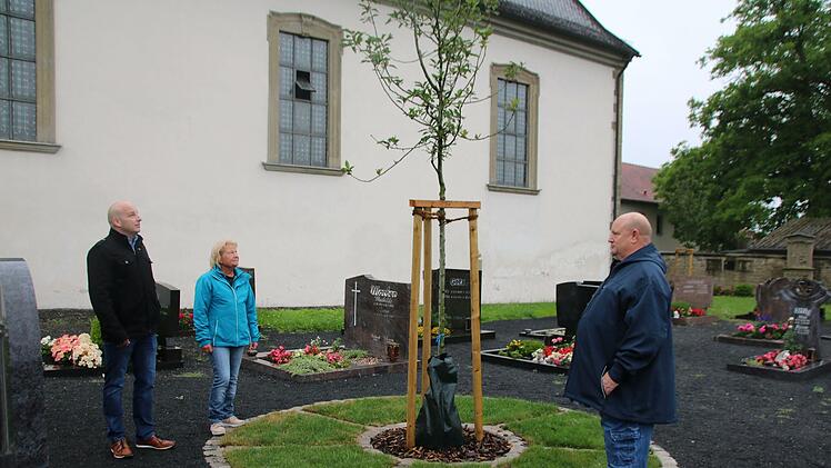 Bürgermeister Michael Kastl (links), Ortssprecherin Ulla Müller und Umweltreferent Klaus Schebler begutachten das neue Urnenfeld auf dem Friedhof in Wermerichshausen. Erstmals ist in Münnerstadt eine Bestattung unter einem Baum möglich. Foto: Thomas Malz