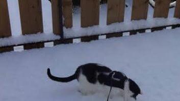 Schnee kann ein tierischer Spaß sein. Foto: Bianca Böhme