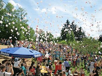 Ihre Wünsche für eine bunte Welt ließen die Haßfurter Grundschüler beim großen Schulfest in den Himmel steigen. Foto: Sabine Weinbeer