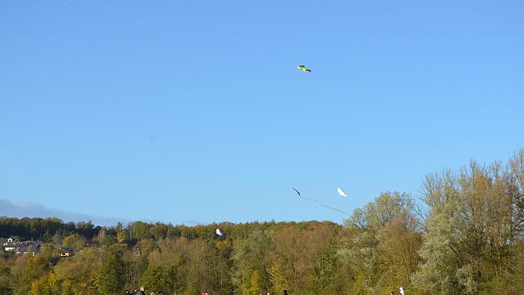 Drachen steigen lassen in den Aischwiesen bei Adelsdorf Foto: Larissa Händel