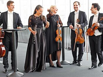 Die Musiker der Bamberger Symphoniker sorgen für musikalischen Hochgenuss.