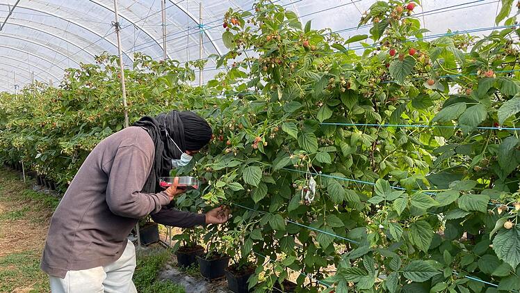 Ausbeutung von Migranten in Portugal