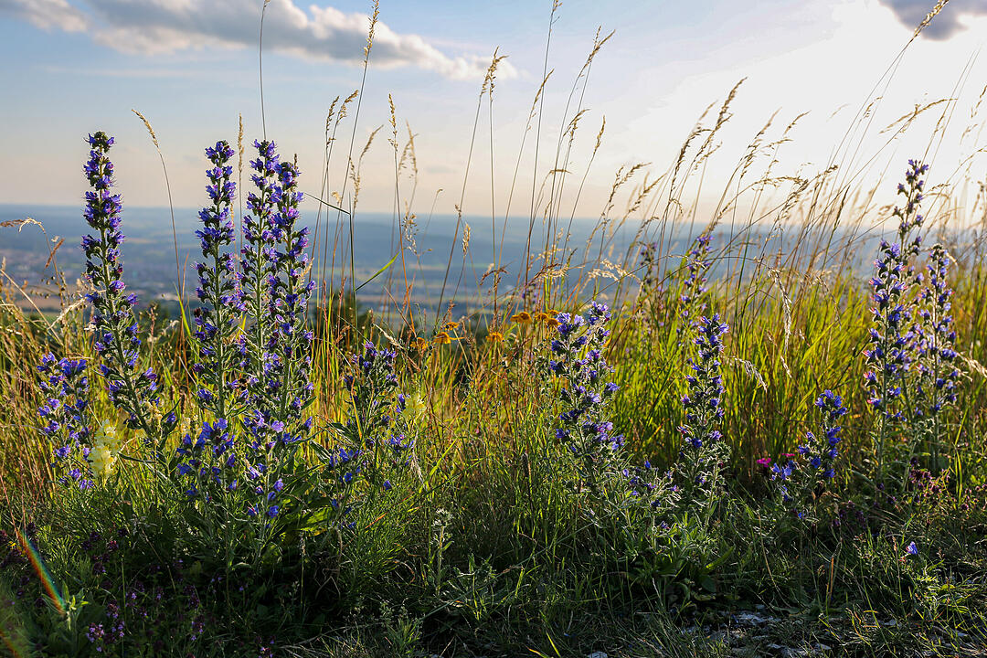 Herrliches Wandergebiet im Bamberger Umland
