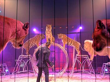 Tom Dieck mit seinen Raubtieren.  Foto: Peter Rauch