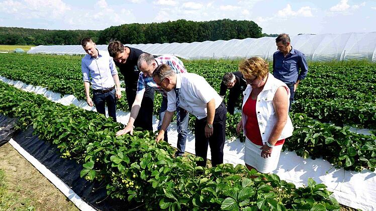 Naschen ist erwünscht.   Foto: Richard Sänger